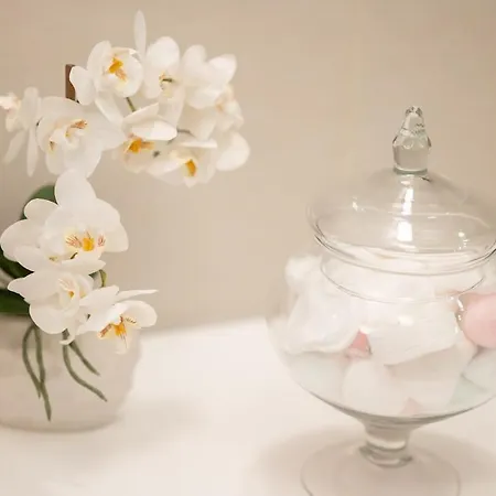 Appartamento Exotic Oasis Bacvice