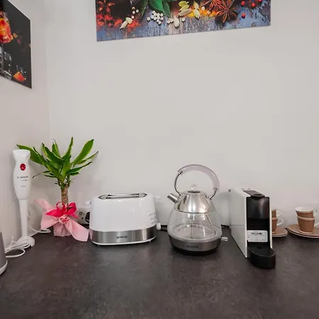 Appartamento Exotic Oasis Bacvice *