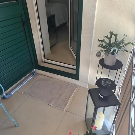 Exotic Oasis Bacvice