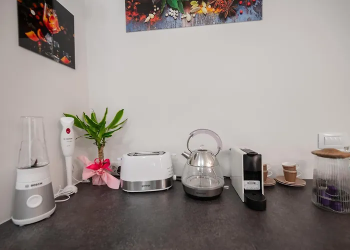 Apartman Exotic Oasis Bacvice *