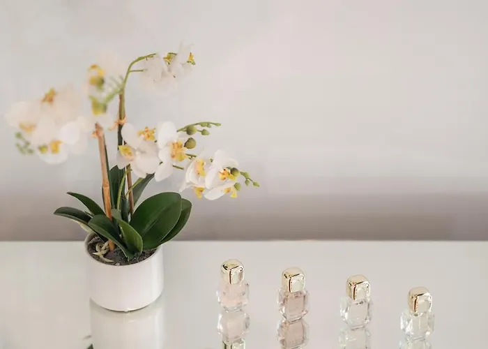 Exotic Oasis Bacvice Apartamento *