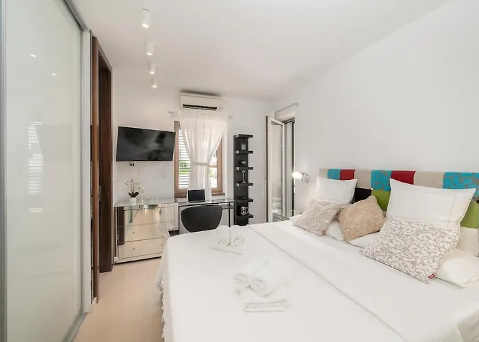 Exotic Oasis Bacvice Σπλιτ