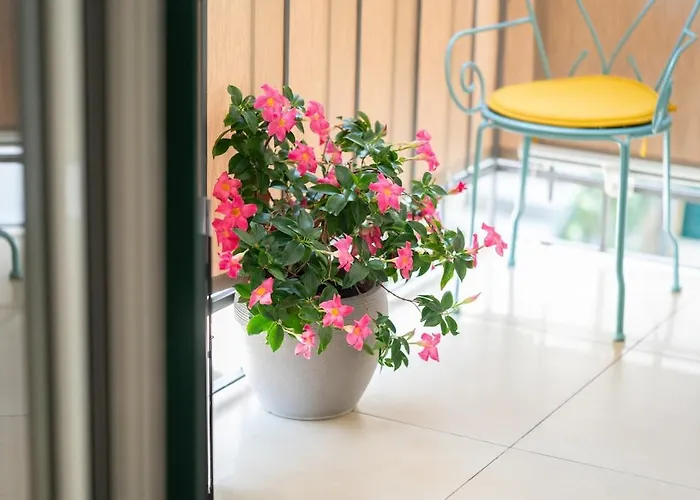 Exotic Oasis Bacvice