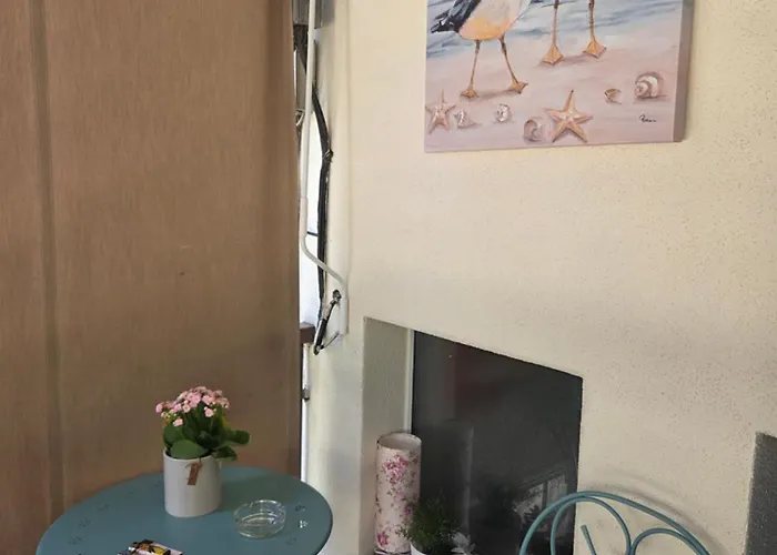 Exotic Oasis Bacvice *